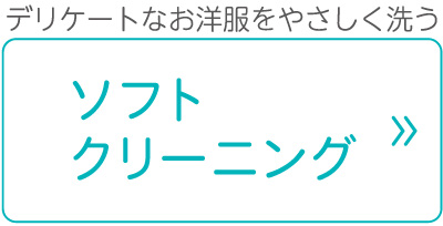 ソフトクリーニング