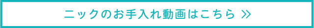 ニックのお手入れ動画はこちら