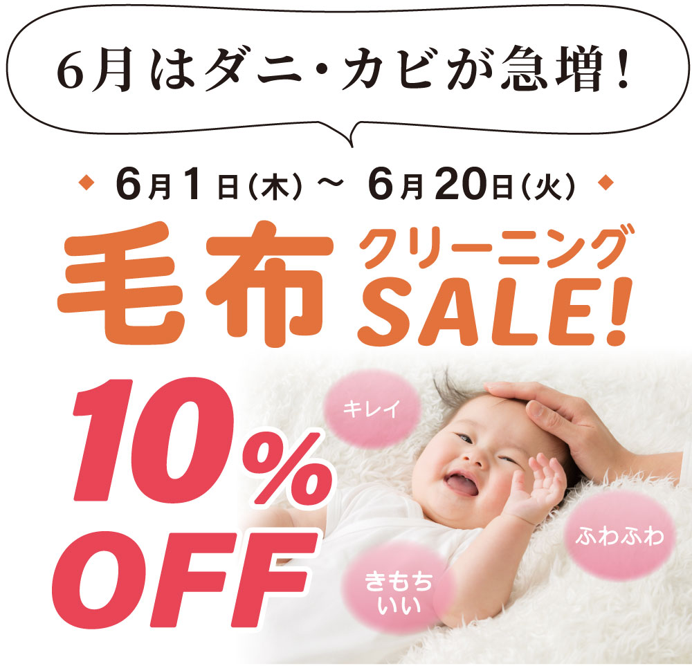 毛布クリーニング１０％OFF