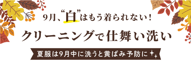 白いものからクリーニング　仕舞い洗いで黄ばみを防ぐ！